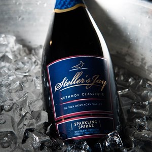 Sparkling Shiraz